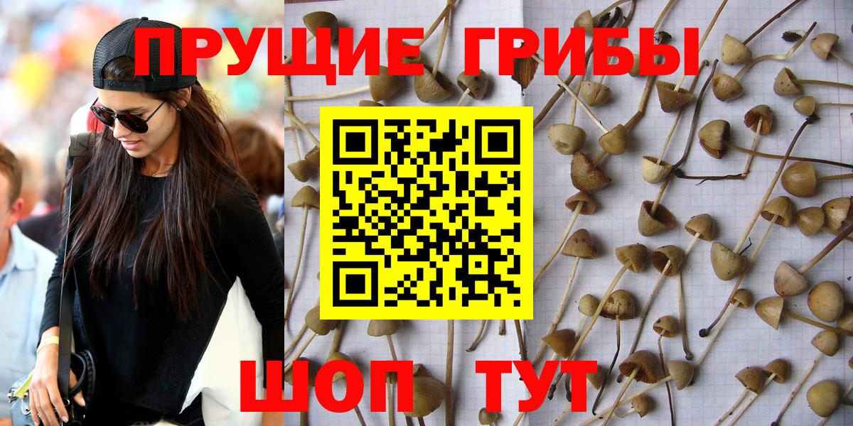 Псилоцибиновые грибы прущие грибы Фурманов